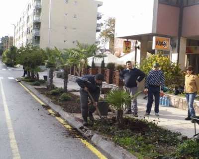 II DALMATINSKA DOBIJA NOVI IZGLED