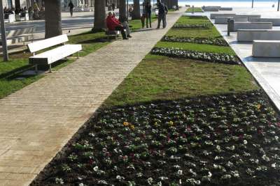 Pine u novom, cvjetnom ruhu 