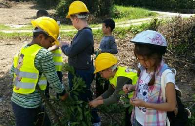 Đaci brali lovoriku 