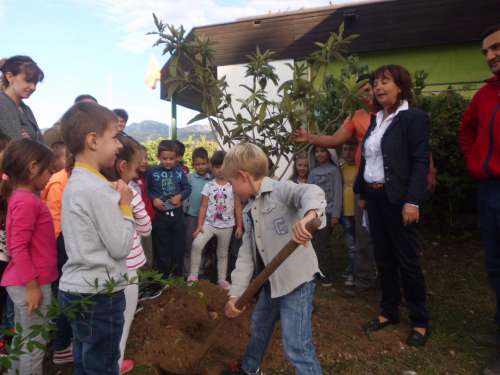 Prvaci zasadili drvo generacije u Donjoj Lastvi 