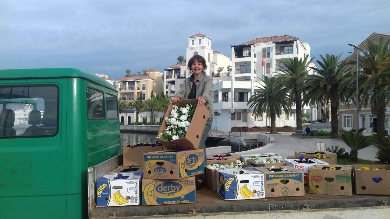 Aktivnosti službe Zelenilo