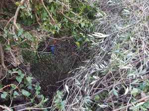 NEOBIČNA AKCIJA NAŠIH RADNIKA