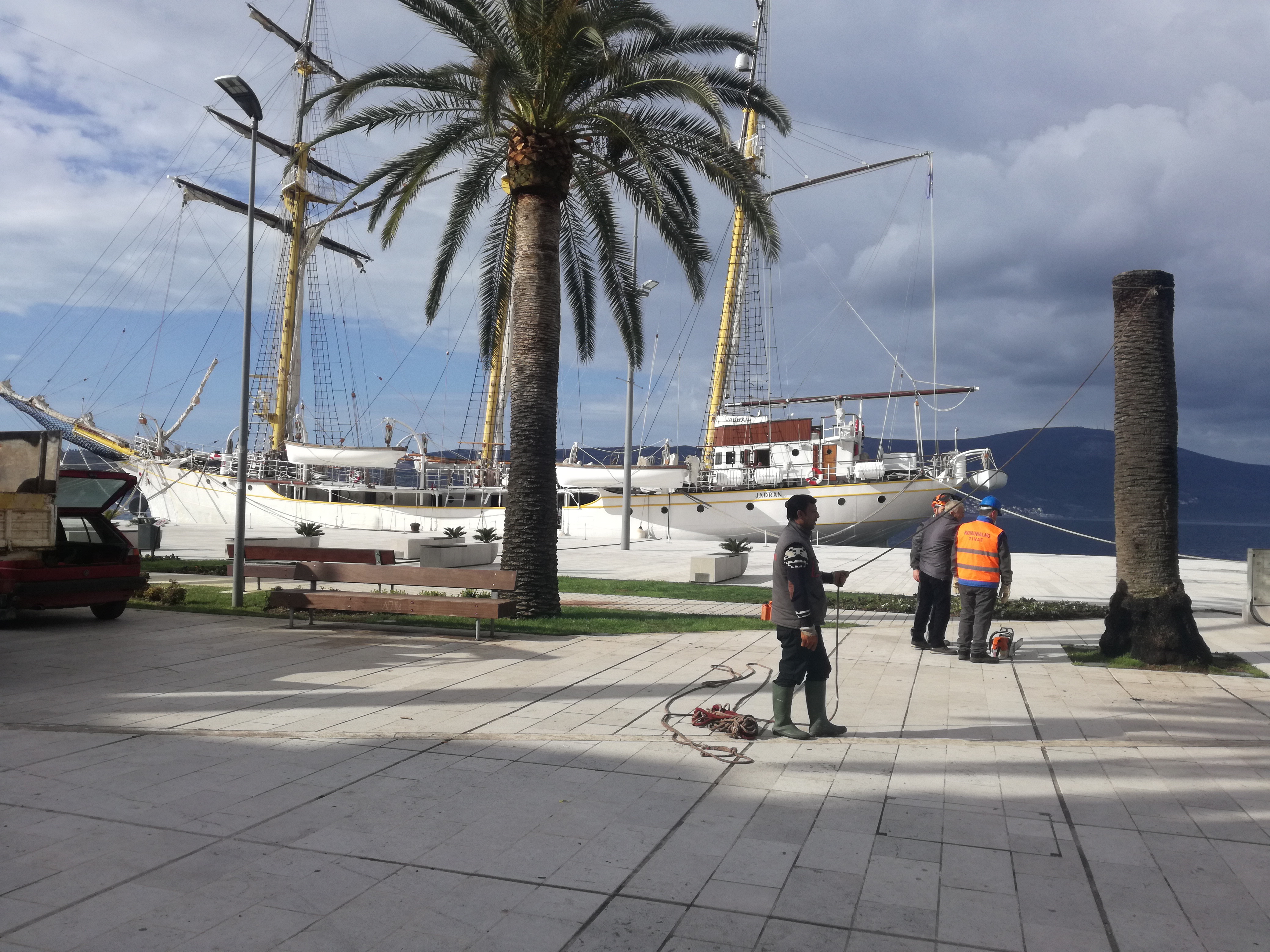 UKLANJANJE PALMI NA PINAMA