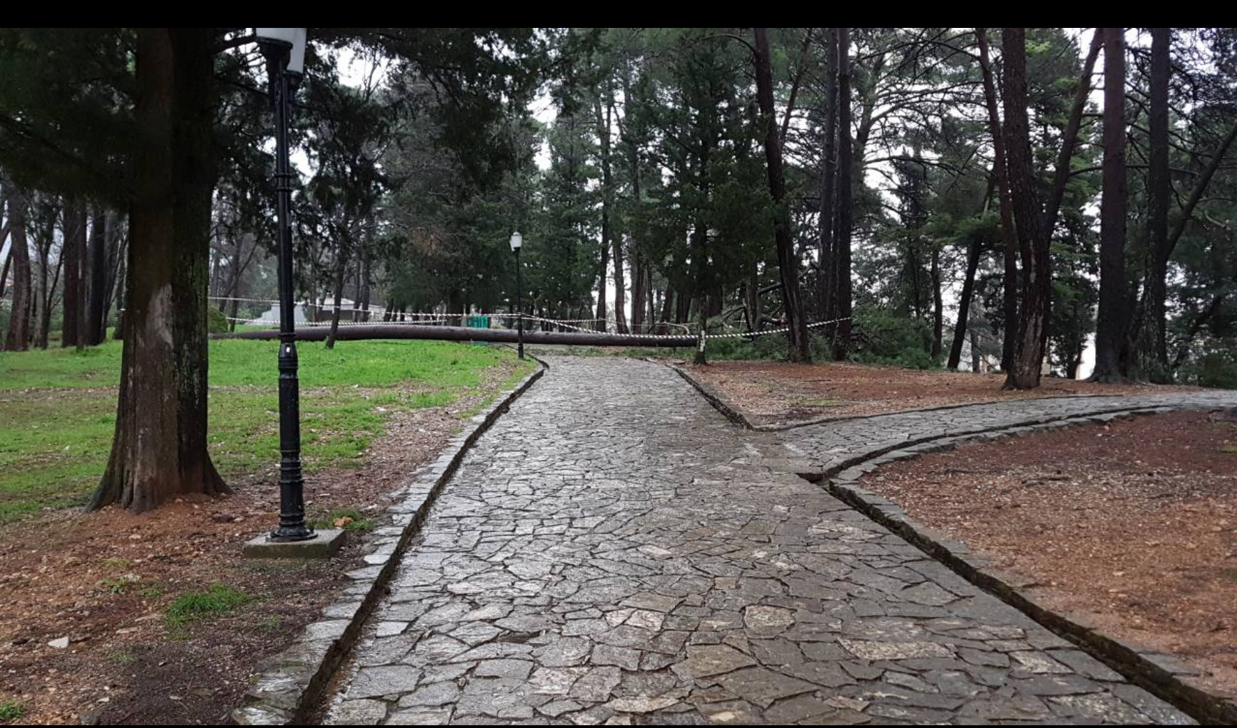 OBORENO STABLO U VELIKOM GRADSKOM PARKU