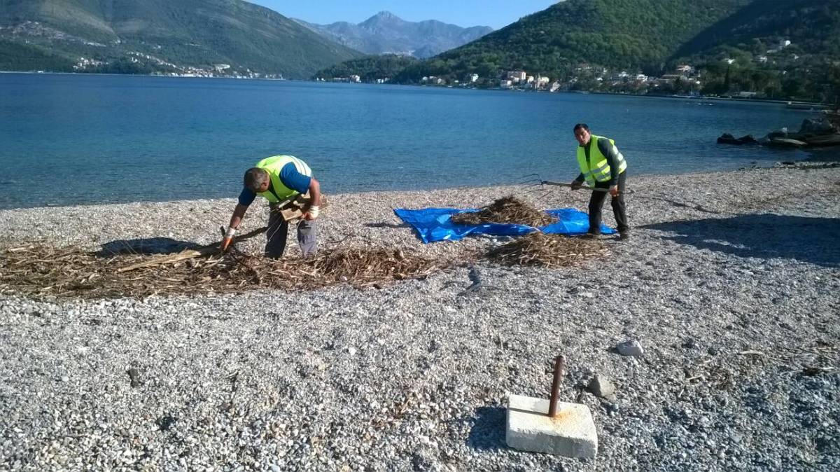 Čistoća Komunalno Tivat